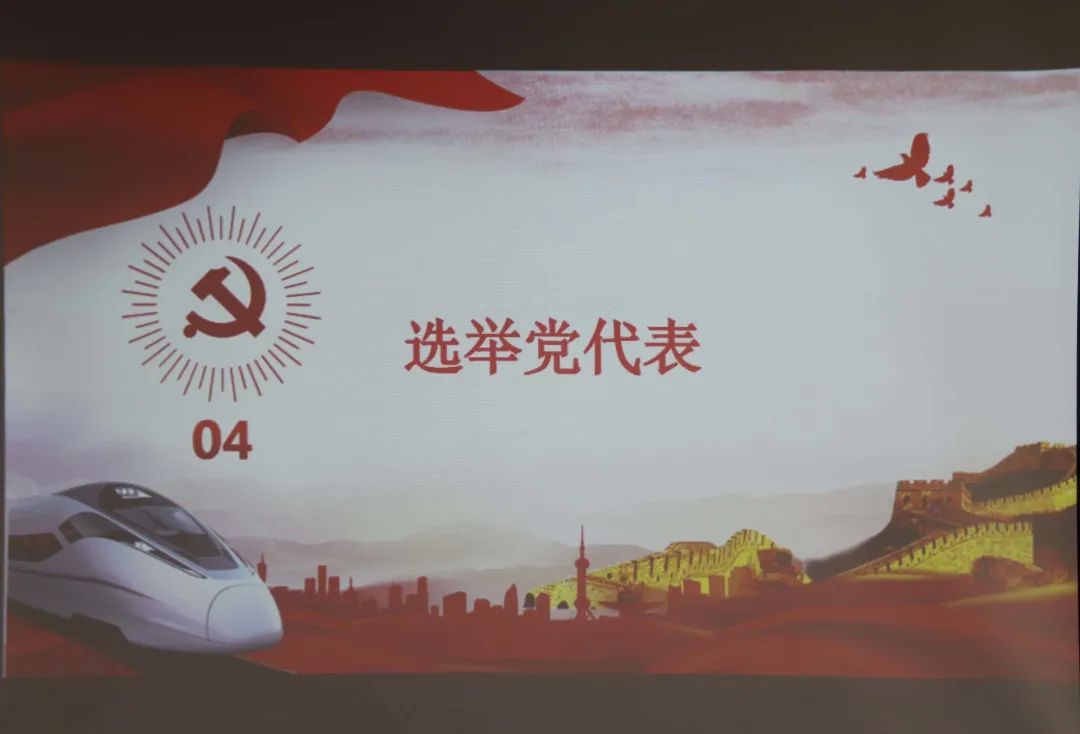 1665209287496931.jpg 选举党代表.jpg