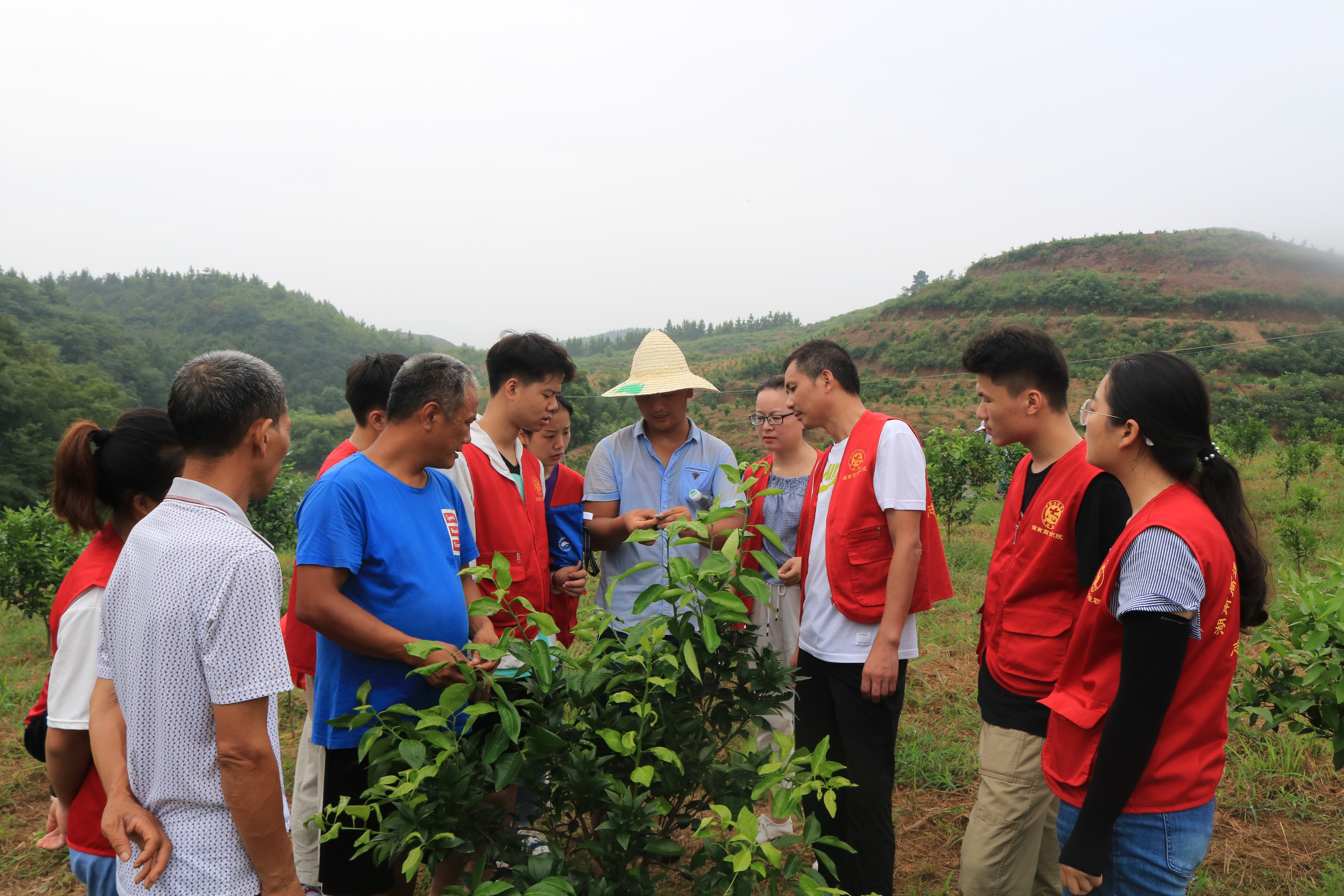 1620293210953584.jpg 三下乡学习果园种植技术.JPG